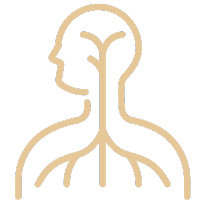 nargespiryae site icon (1)